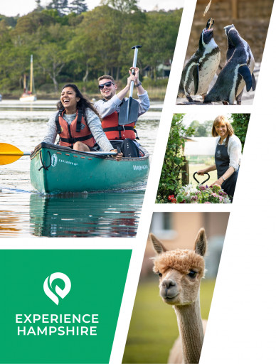 Experience cover image